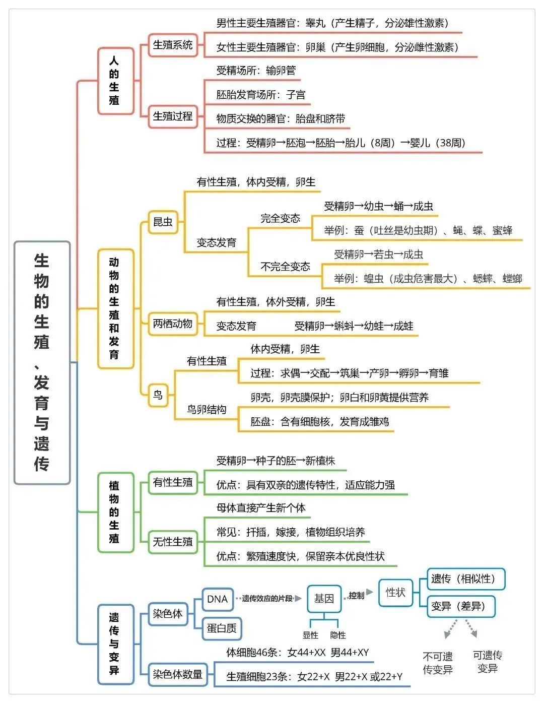 2025年中考地理、生物计入录取总分!地生如何学习考试能得高分? 第22张