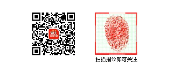 编制!孝感市临空区小学幼儿园招聘教师10人 第3张