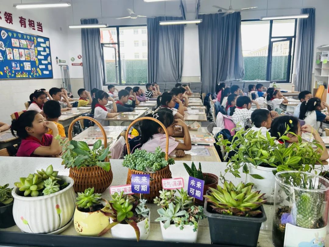 【江丰小学】一班一品,丰采润心——江丰小学“美丽教室”评比活动 第71张 【江丰小学】一班一品,丰采润心——江丰小学“美丽教室”评比活动 第71张