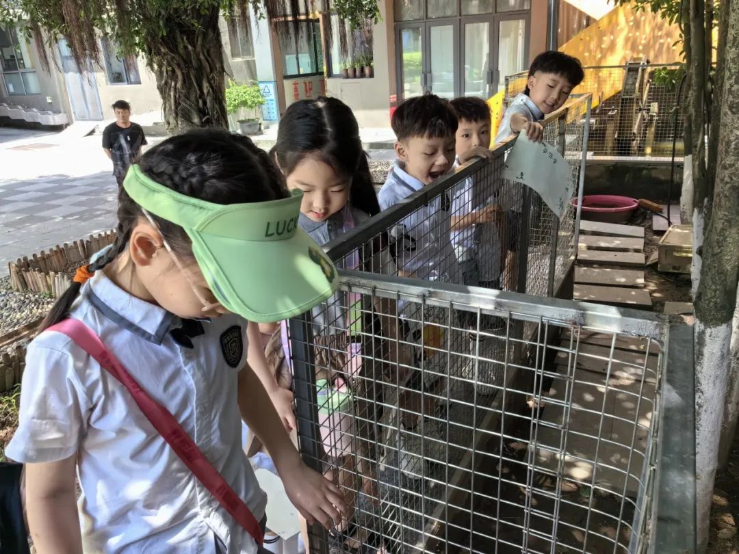 【雅趣童年】“趣”探小学,衔接有度——永嘉县博雅滨江幼儿园大班段参观小学活动 第49张 【雅趣童年】“趣”探小学,衔接有度——永嘉县博雅滨江幼儿园大班段参观小学活动 第49张