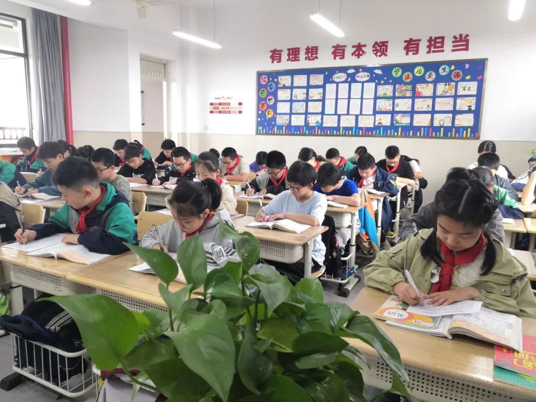 【江丰小学】一班一品,丰采润心——江丰小学“美丽教室”评比活动 第66张 【江丰小学】一班一品,丰采润心——江丰小学“美丽教室”评比活动 第66张