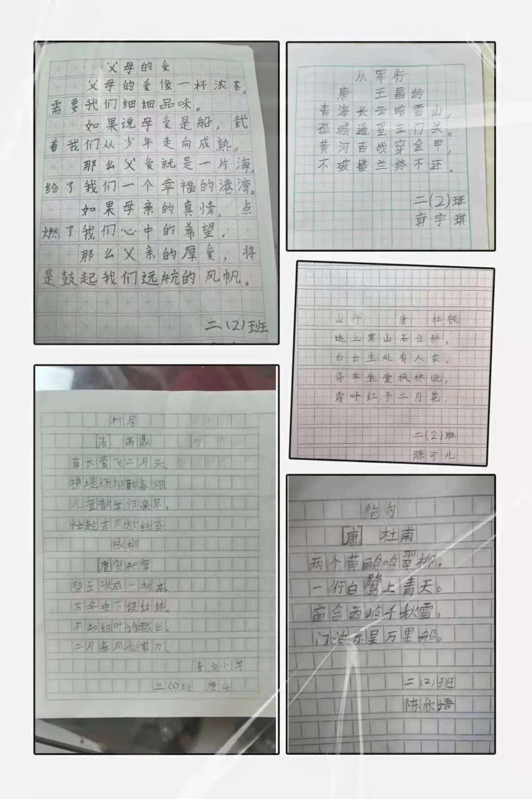 【清流小学】乐享书写  传承瑰宝 第19张
