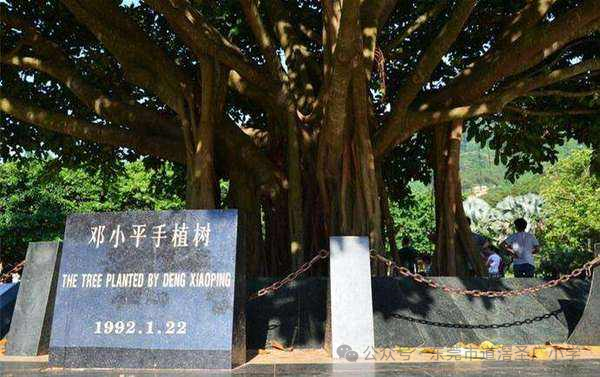 东莞市道滘圣广小学《读本》红色宣讲员活动第九期---第四讲第一课时《只有改革开放才能发展中国》 第14张