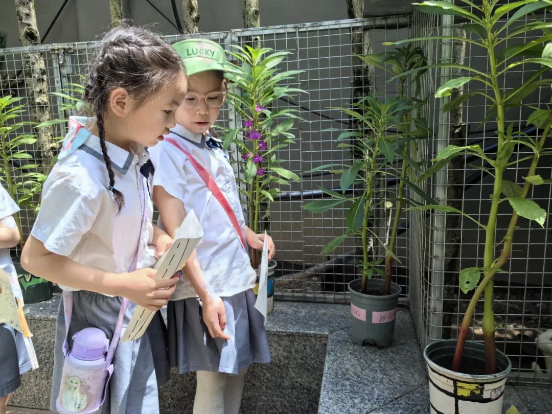 【雅趣童年】“趣”探小学,衔接有度——永嘉县博雅滨江幼儿园大班段参观小学活动 第56张 【雅趣童年】“趣”探小学,衔接有度——永嘉县博雅滨江幼儿园大班段参观小学活动 第56张