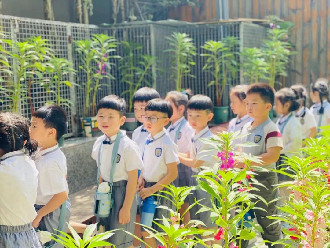 【雅趣童年】“趣”探小学,衔接有度——永嘉县博雅滨江幼儿园大班段参观小学活动 第50张 【雅趣童年】“趣”探小学,衔接有度——永嘉县博雅滨江幼儿园大班段参观小学活动 第50张