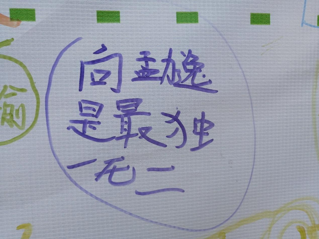 快乐成长,共筑明天-华新实验小学教育集团“525心理健康周”全记录 第46张 快乐成长,共筑明天-华新实验小学教育集团“525心理健康周”全记录 第46张
