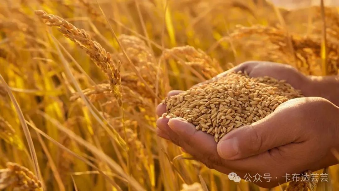 家园共育 | 孩子上小学前要学会的10个小规矩,家长必看! 第20张 家园共育 | 孩子上小学前要学会的10个小规矩,家长必看! 第20张