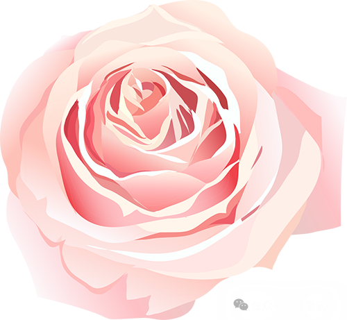 优文:范安迪 南园路小学三(4)班《快乐的果壳》 第3张 优文:范安迪 南园路小学三(4)班《快乐的果壳》 第3张