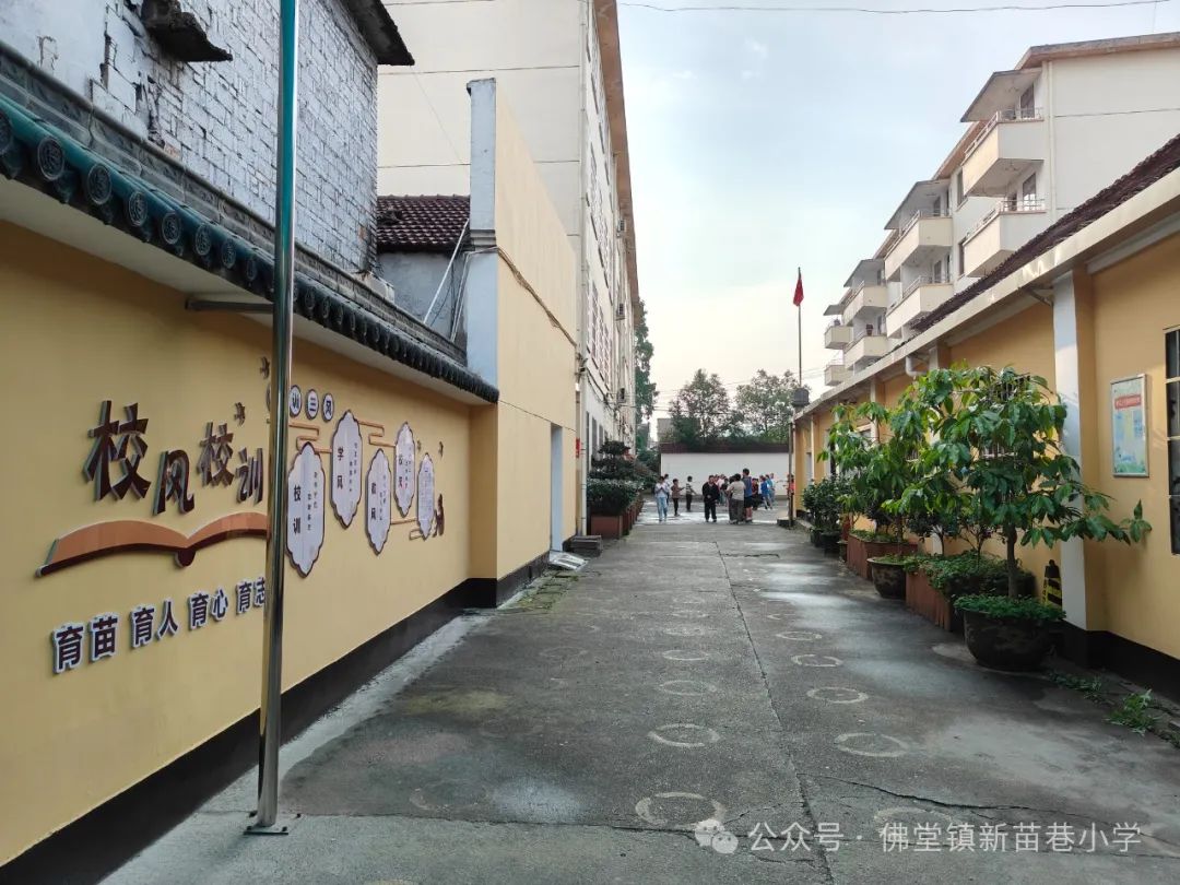 【党建引领】义乌市佛堂镇新苗巷小学2024年一年级新生招生简章 第5张 【党建引领】义乌市佛堂镇新苗巷小学2024年一年级新生招生简章 第5张