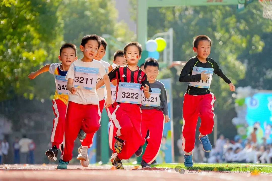 各位家长请查收:小学毕业游学活动邀请函 第25张 各位家长请查收:小学毕业游学活动邀请函 第25张