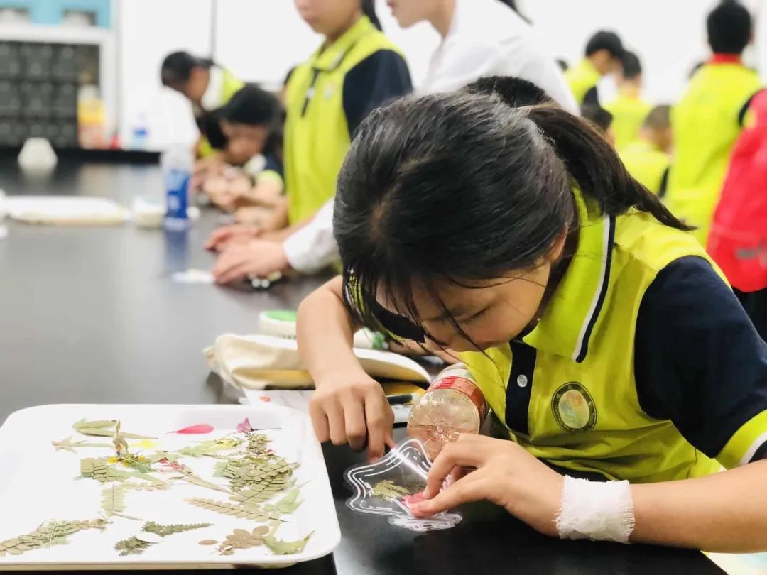 锦兴小学2023—2024学年度第二学期第14周教育周报 第24张 锦兴小学2023—2024学年度第二学期第14周教育周报 第24张