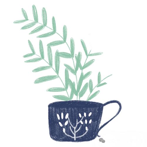 优文:范安迪 南园路小学三(4)班《快乐的果壳》 第2张 优文:范安迪 南园路小学三(4)班《快乐的果壳》 第2张