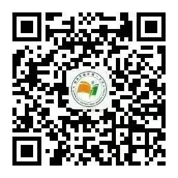 【创新·一小】新民市城区第一小学幼儿园“缤纷六一  童心飞扬”庆“六一”亲子运动会 第47张