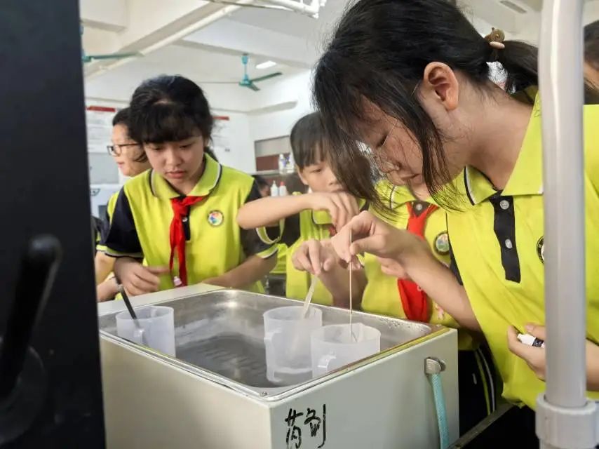 锦兴小学2023—2024学年度第二学期第14周教育周报 第26张 锦兴小学2023—2024学年度第二学期第14周教育周报 第26张