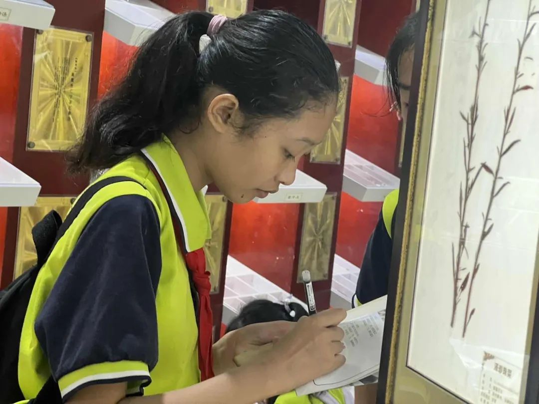 锦兴小学2023—2024学年度第二学期第14周教育周报 第22张 锦兴小学2023—2024学年度第二学期第14周教育周报 第22张