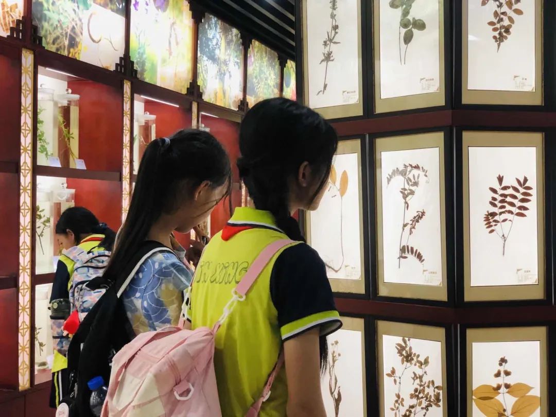 锦兴小学2023—2024学年度第二学期第14周教育周报 第21张 锦兴小学2023—2024学年度第二学期第14周教育周报 第21张