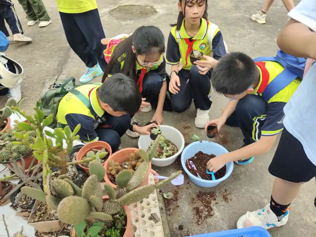 锦兴小学2023—2024学年度第二学期第14周教育周报 第20张 锦兴小学2023—2024学年度第二学期第14周教育周报 第20张