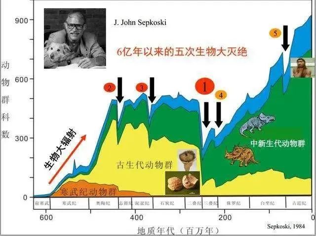 高考专业介绍(090202野生动物与自然保护区管理) 第7张 高考专业介绍(090202野生动物与自然保护区管理) 第7张