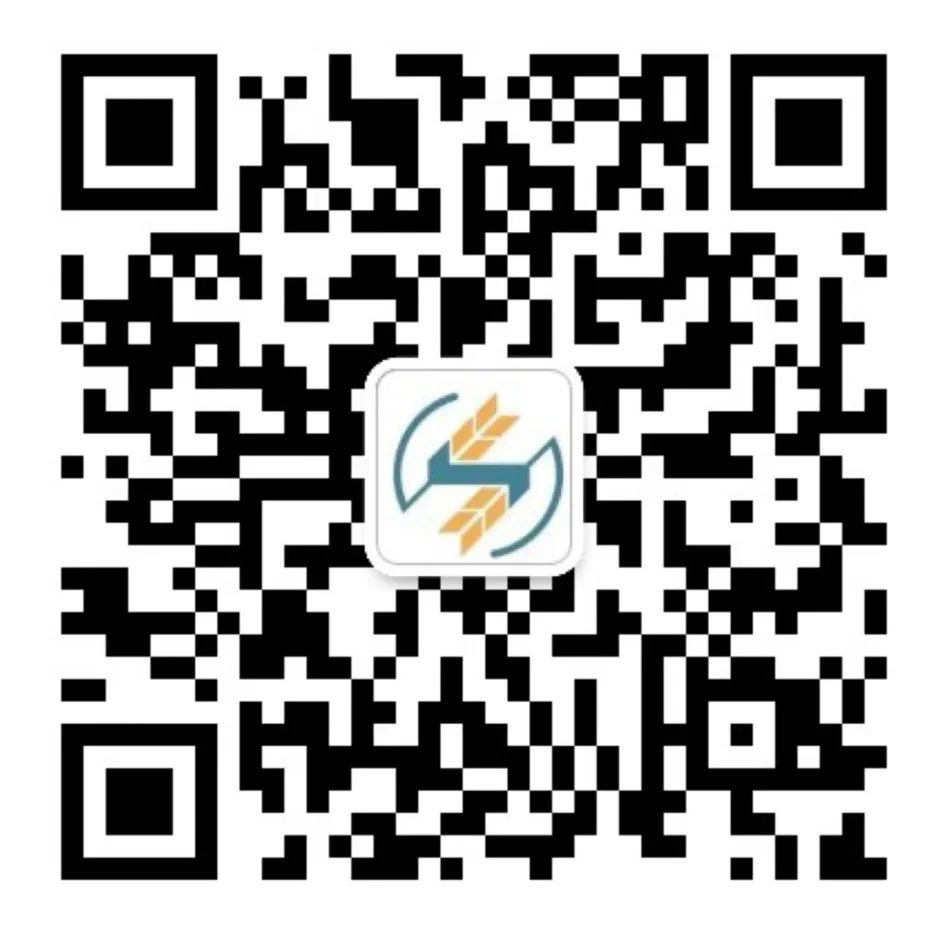小学三年级英语九月换新教材,新旧对比抢先看! 第13张 小学三年级英语九月换新教材,新旧对比抢先看! 第13张