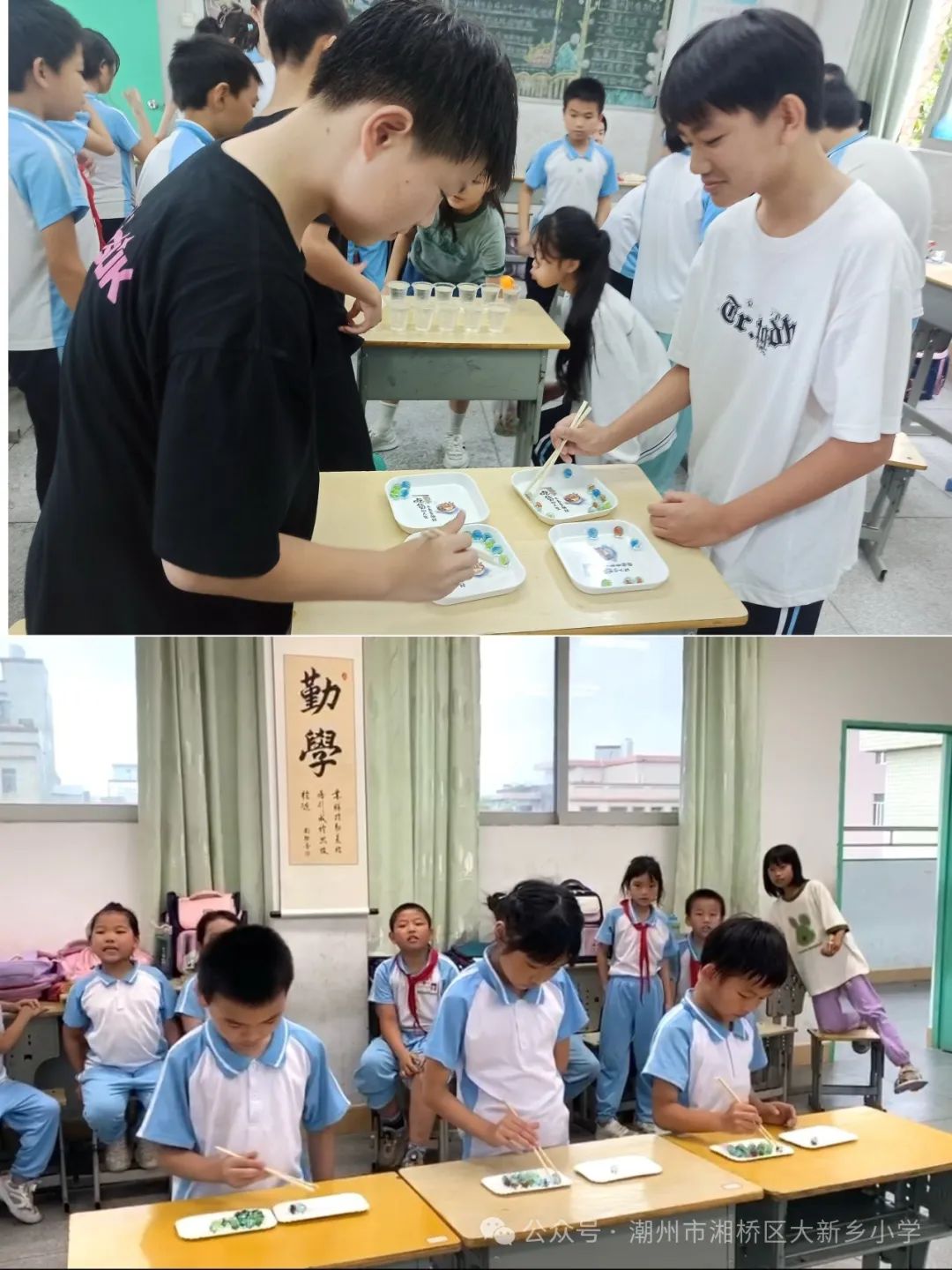 笃行共成长,齐心向未来 —大新乡小学、竹围小学“红领巾爱祖国”庆六一系列活动 第49张 笃行共成长,齐心向未来 —大新乡小学、竹围小学“红领巾爱祖国”庆六一系列活动 第49张