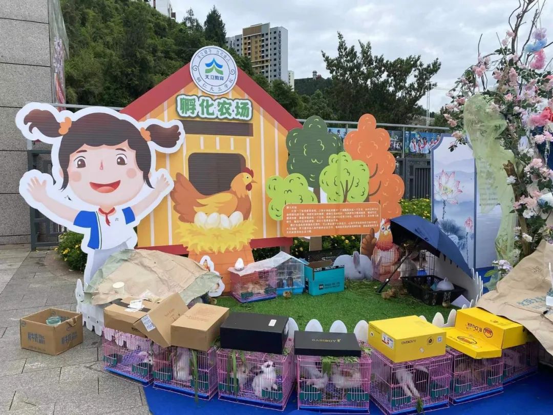 天立娃,如此多“骄”| 铜仁天立心智小学第三届素质成果汇演! 第24张 天立娃,如此多“骄”| 铜仁天立心智小学第三届素质成果汇演! 第24张