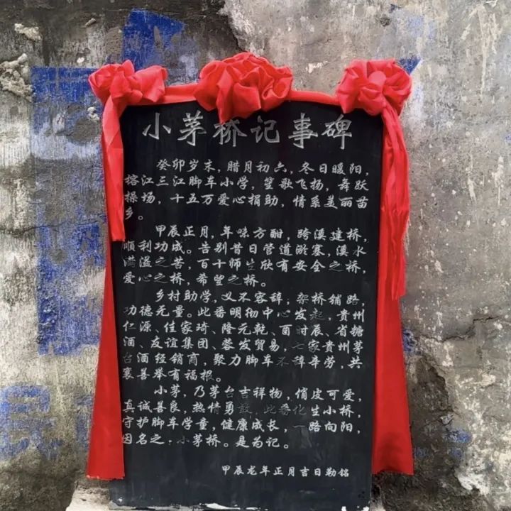 公益项目 | 脚车小学校园改造顺利结项暨六一儿童节特别活动 第32张