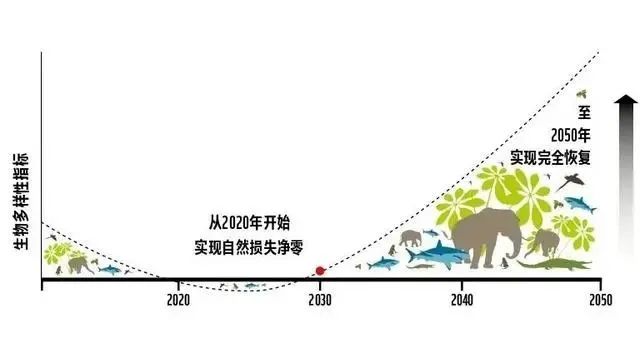 高考专业介绍(090202野生动物与自然保护区管理) 第9张 高考专业介绍(090202野生动物与自然保护区管理) 第9张
