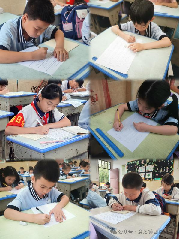 数海扬帆 科创未来——意溪镇西都小学第五届数科节系列活动报道 第13张