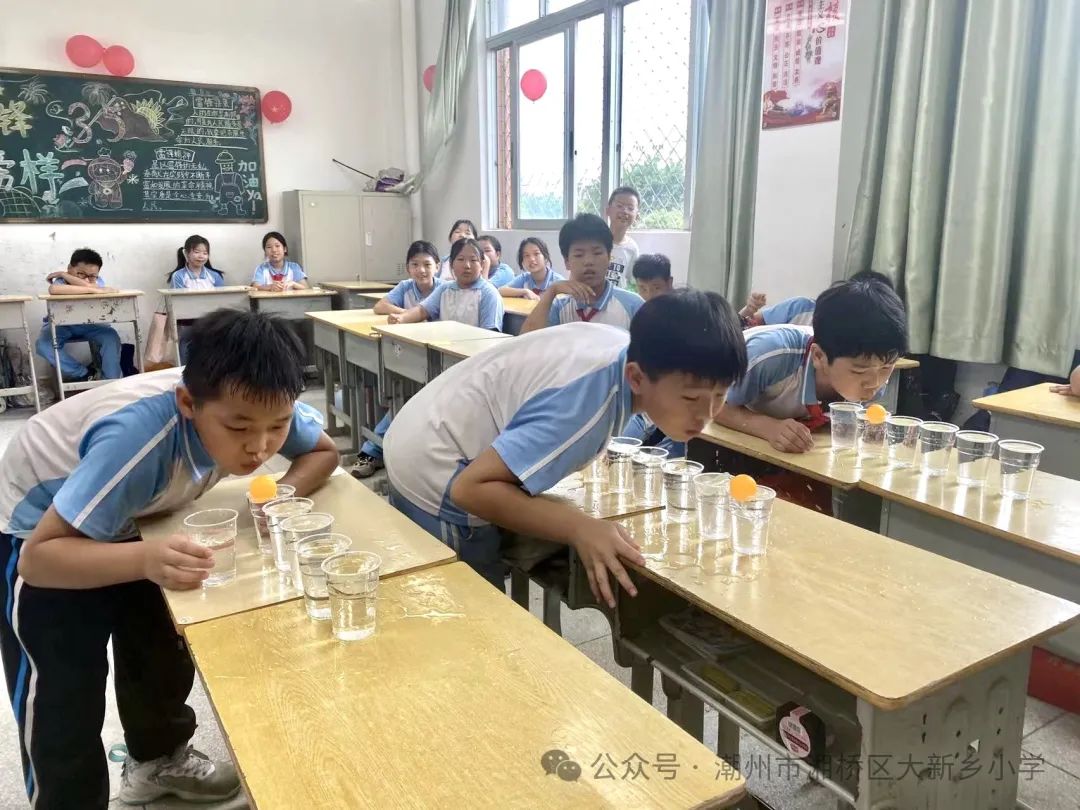 笃行共成长,齐心向未来 —大新乡小学、竹围小学“红领巾爱祖国”庆六一系列活动 第48张 笃行共成长,齐心向未来 —大新乡小学、竹围小学“红领巾爱祖国”庆六一系列活动 第48张