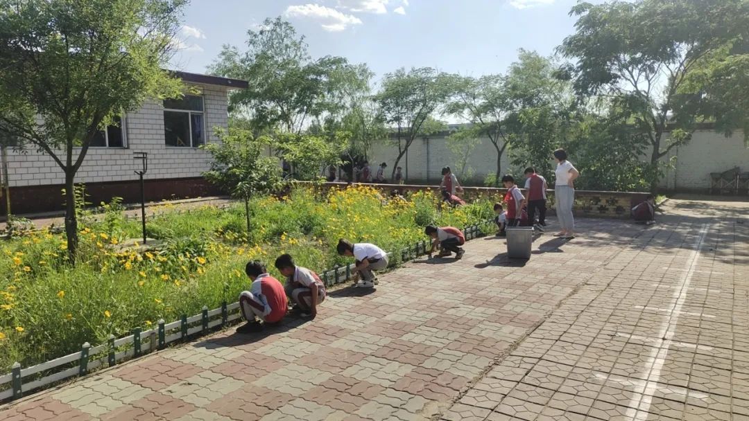 “保持童真,天天开心”赵各庄小学第十四周工作总结 第12张 “保持童真,天天开心”赵各庄小学第十四周工作总结 第12张