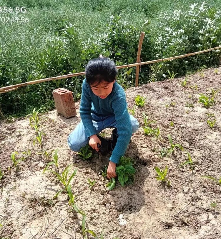 【龙堤小学·微美育人】“每月一事·微美少年”颁奖仪式 第14张 【龙堤小学·微美育人】“每月一事·微美少年”颁奖仪式 第14张