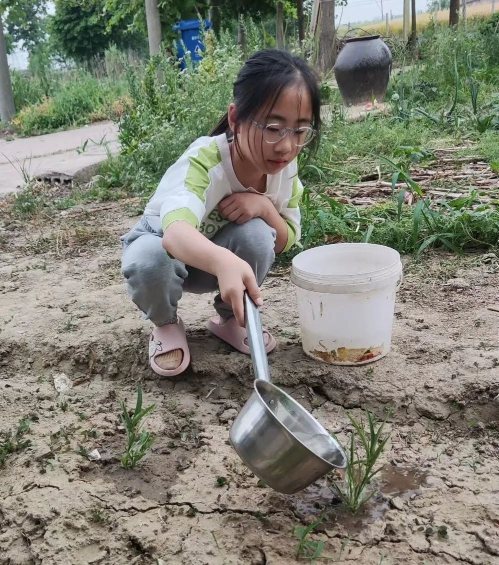 【龙堤小学·微美育人】“每月一事·微美少年”颁奖仪式 第31张 【龙堤小学·微美育人】“每月一事·微美少年”颁奖仪式 第31张