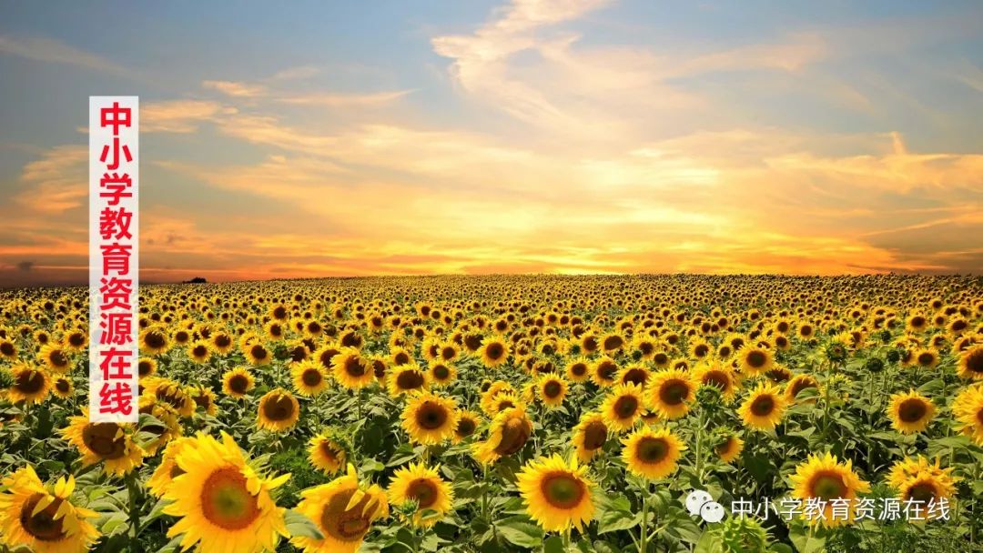 2024中考英语之热点语料 第1张 2024中考英语之热点语料 第1张