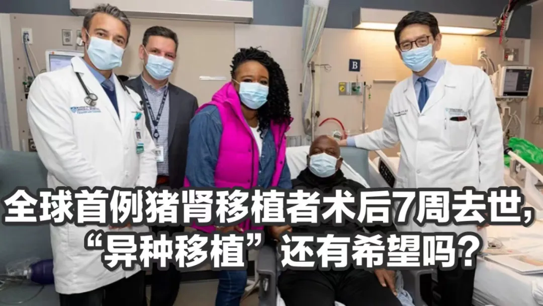 当“高考天花板”清北金融系学生,面对“就业降级” 第12张 当“高考天花板”清北金融系学生,面对“就业降级” 第12张