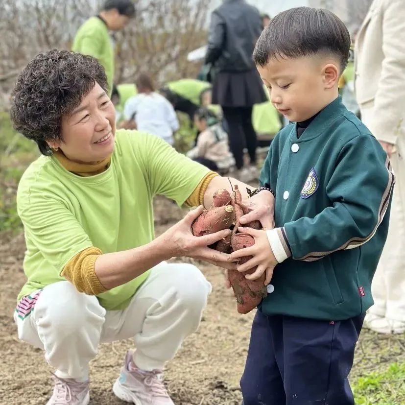 龙港市第九小学附属幼儿园2024年秋季招生公告 第14张