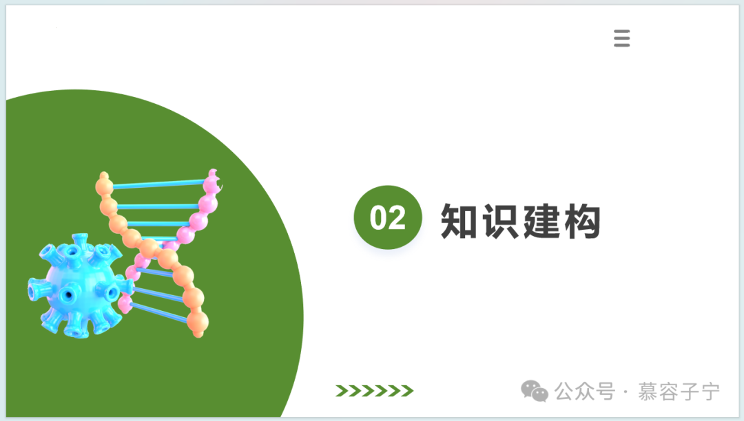 【中考生物】2024年中考生物二轮复习PPT专题二 生物的多样性 第12张