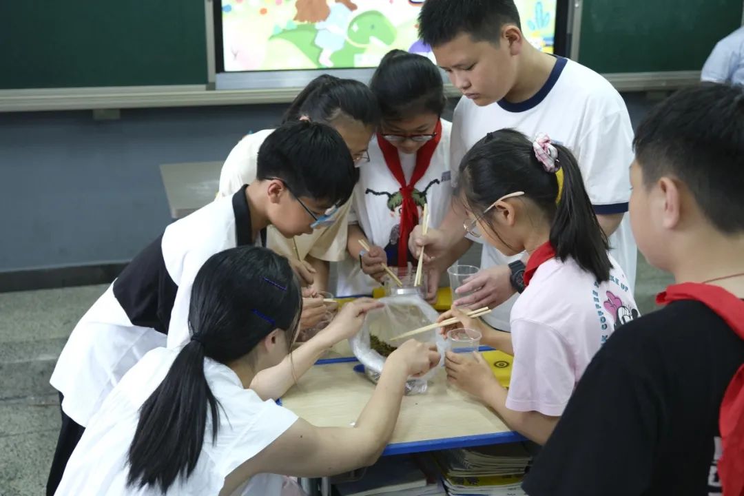 亦玩亦学,欢庆六一——水头镇实验小学六一游园暨项目学评活动 第45张 亦玩亦学,欢庆六一——水头镇实验小学六一游园暨项目学评活动 第45张