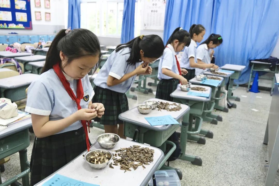 亦玩亦学,欢庆六一——水头镇实验小学六一游园暨项目学评活动 第47张 亦玩亦学,欢庆六一——水头镇实验小学六一游园暨项目学评活动 第47张