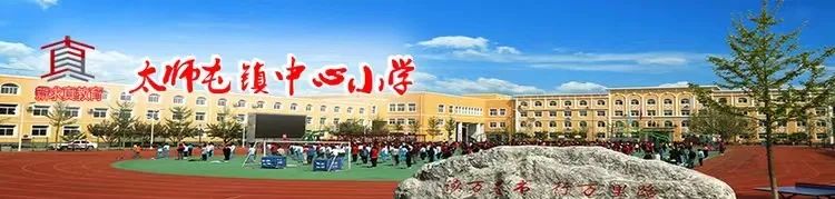 太师屯镇中心小学党总支开展“学思践悟,走进中国美丽乡村”主题党日活动 第4张