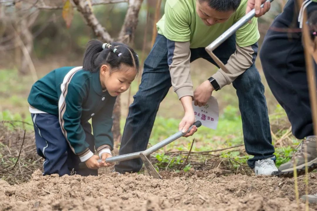 龙港市第九小学附属幼儿园2024年秋季招生公告 第13张