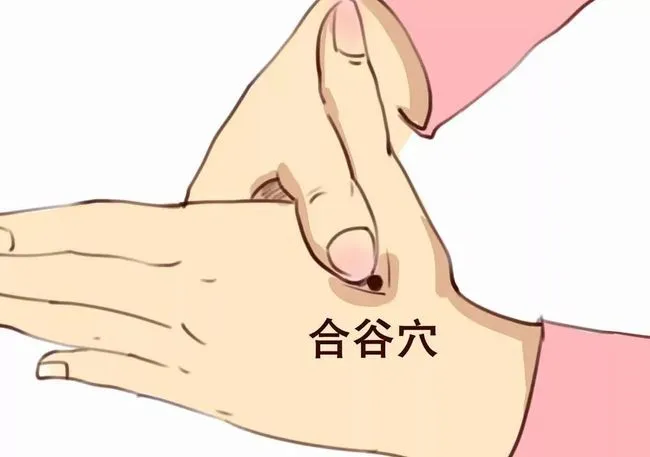 【高考倒计时!】中医锦囊来助力~ 第8张