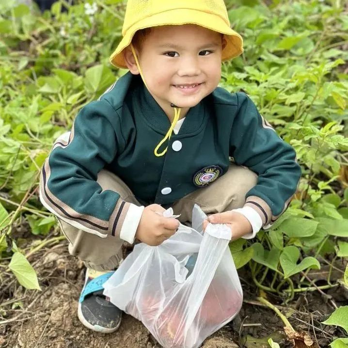 龙港市第九小学附属幼儿园2024年秋季招生公告 第15张