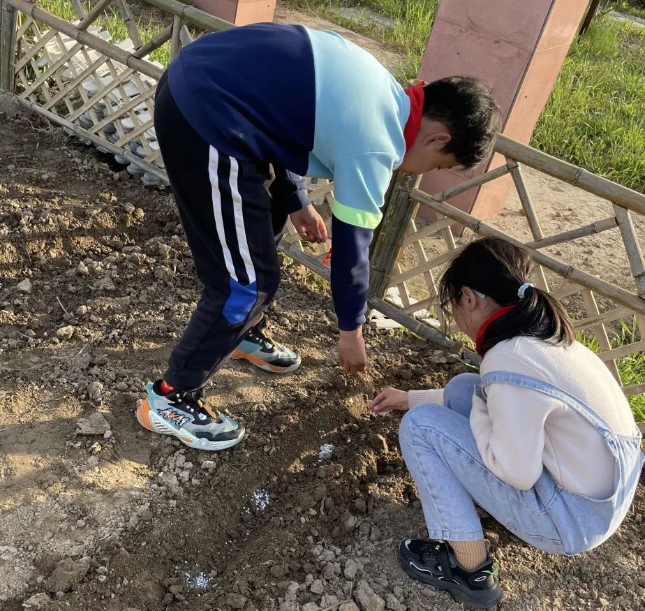 【龙堤小学·微美育人】“每月一事·微美少年”颁奖仪式 第43张 【龙堤小学·微美育人】“每月一事·微美少年”颁奖仪式 第43张
