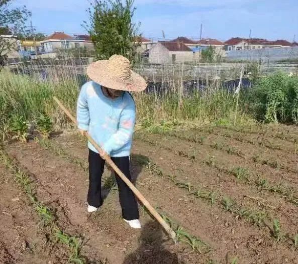 【龙堤小学·微美育人】“每月一事·微美少年”颁奖仪式 第26张 【龙堤小学·微美育人】“每月一事·微美少年”颁奖仪式 第26张