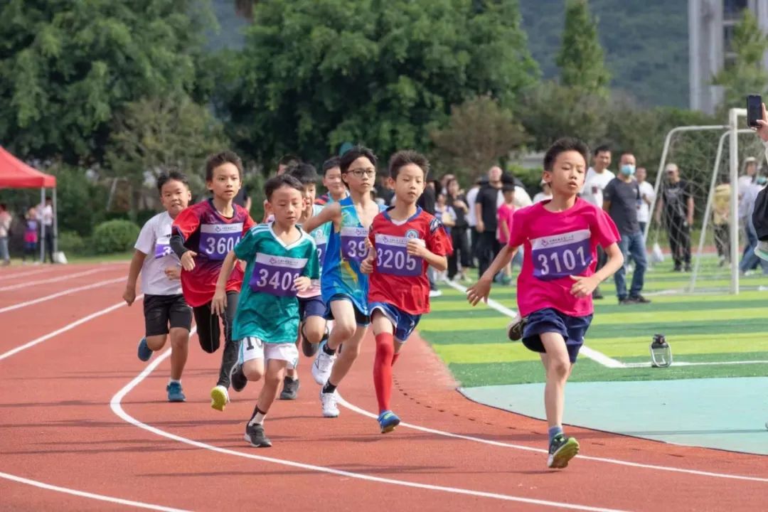 乐清市城南第一小学2024年招生简章 第4张