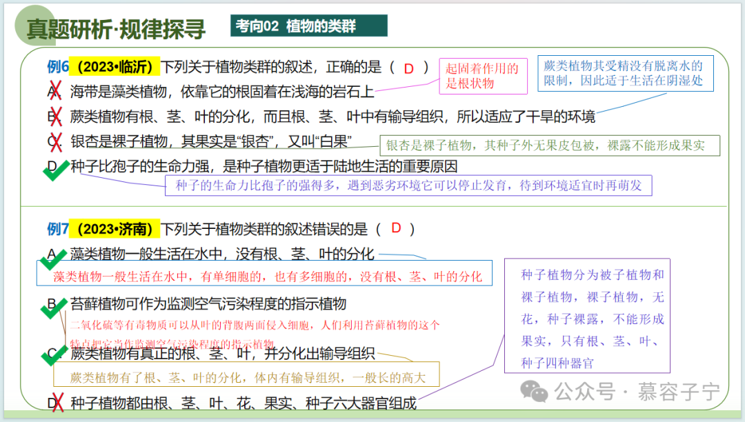 【中考生物】2024年中考生物二轮复习PPT专题二 生物的多样性 第20张
