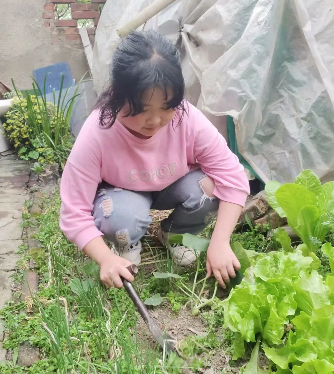 【龙堤小学·微美育人】“每月一事·微美少年”颁奖仪式 第32张 【龙堤小学·微美育人】“每月一事·微美少年”颁奖仪式 第32张