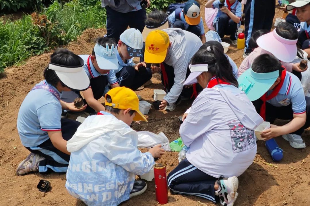【全环境立德树人】上合示范区实验小学“学思践悟 勇创未来”庆六一系列活动 第69张