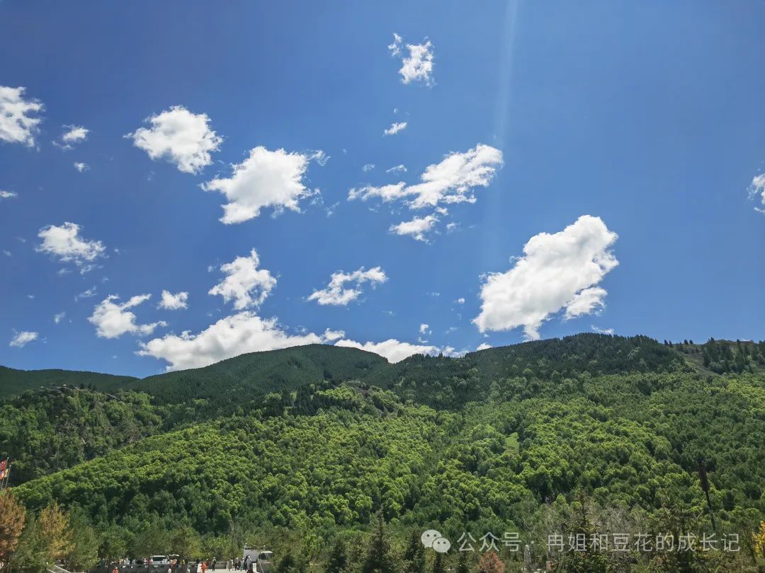 高考倒计时5天 ‖ 梦想起航 第1张 高考倒计时5天 ‖ 梦想起航 第1张