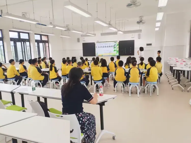 深耕教研 砥砺前行——广州市白云区陈田小学教师大练兵活动 第41张